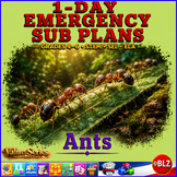1-Day Emergency Sub Plans Value Series | STEM | SEL | ELA | Ants