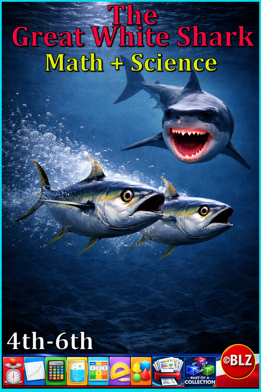 Sharks | Math + Science Unit